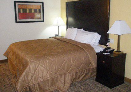 Quality Inn & Suites Greenville Near Downtown Номер фото